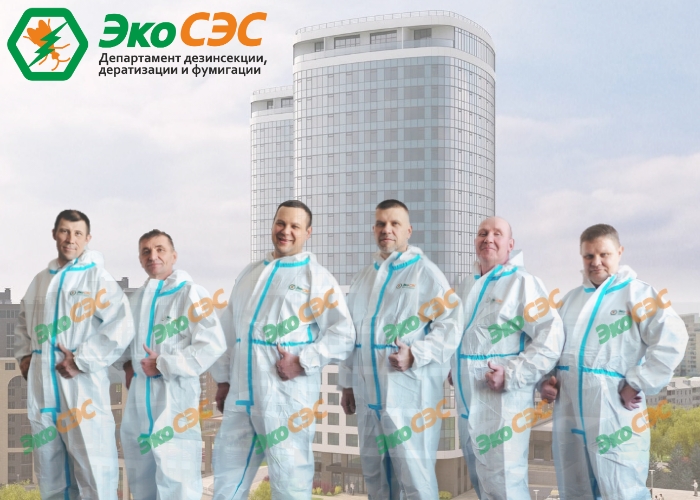 служба сэс